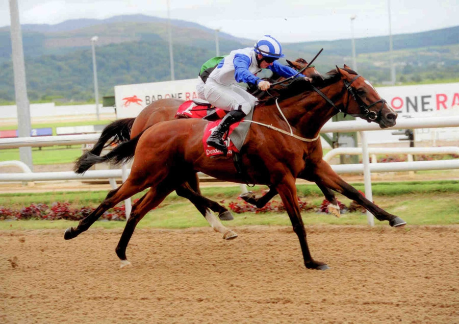 Saxo Jack Dundalk 18th August 2013